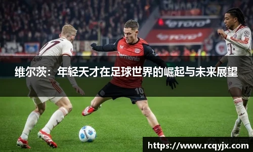 zoty中欧